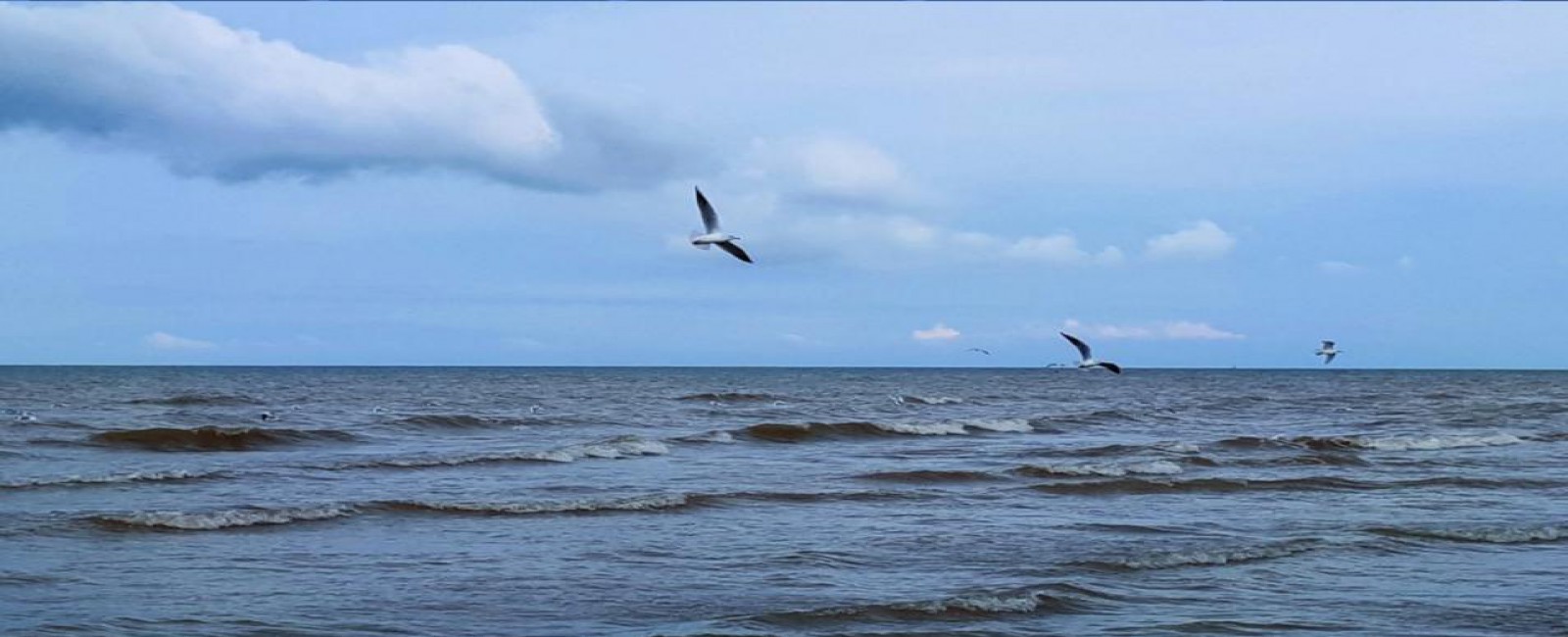 Caspian sea(North of IRAN)