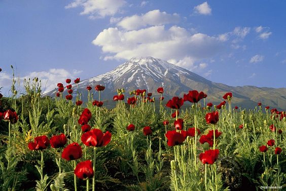 Attraction of Natural attractions