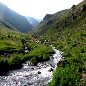 Iran Green Route